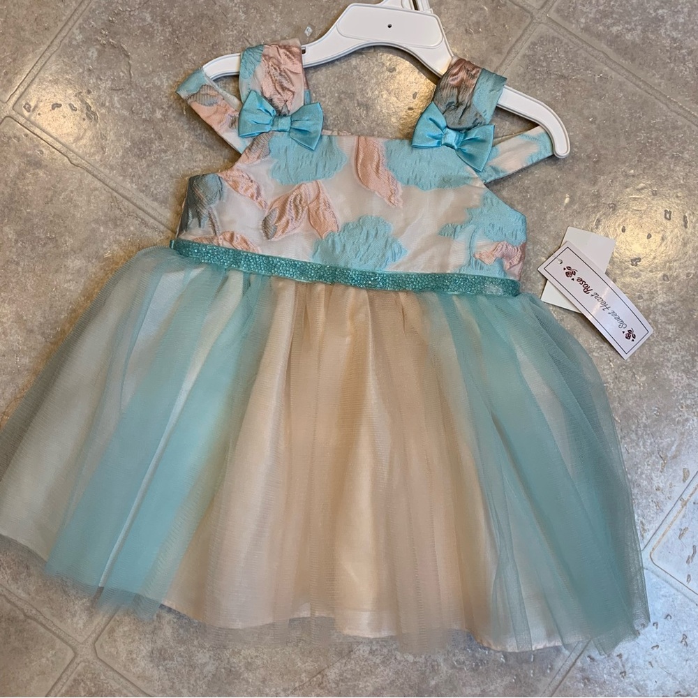 Blush and Light Blue Tulle Party Dress 24 Months NWT